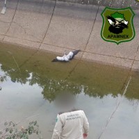 APAMNEX reclama a la Junta una solución ante la problemática de la recogida de animales