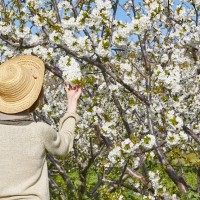 Este miércoles comienza oficialmente la primavera