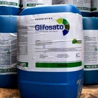SEO/BirdLife solicita a las administraciones erradicar el uso de herbicidas en carreteras
