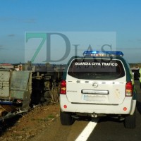 Mueren más de 15 animales tras un accidente de un tráiler en la A-5