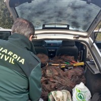 Roban cable en líneas de telecomunicación de Badajoz y La Albuera