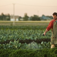 Oposición a la ley que pone "más restricciones a agricultores y ganaderos" extremeños