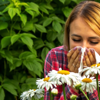 La primavera y las alergias: cómo prevenir los síntomas