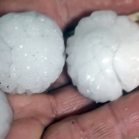 La granizada en Cáceres deja importantes daños en el cerezo: reclaman medidas reales