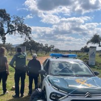 Dos peregrinos se suben a una encina para evitar ser embestidos en Extremadura