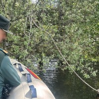 Aparece un cuerpo sin vida en las inmediaciones de un puente en Plasencia