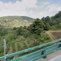 Repoblación forestal en la comarca centro-este de la región extremeña