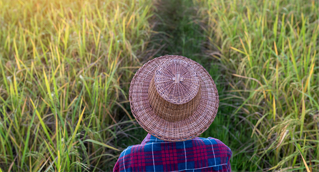 La Unión denuncia la discriminación a los agricultores extremeños frente a los de Cataluña