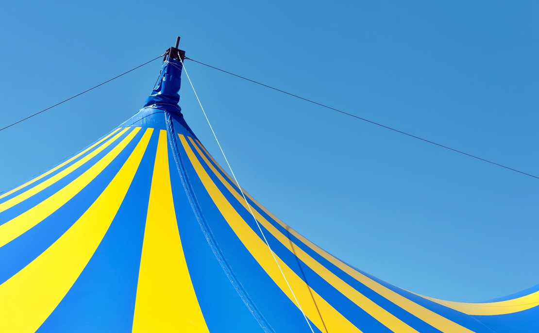 Prohibidos los circos que empleen animales silvestres en cautividad