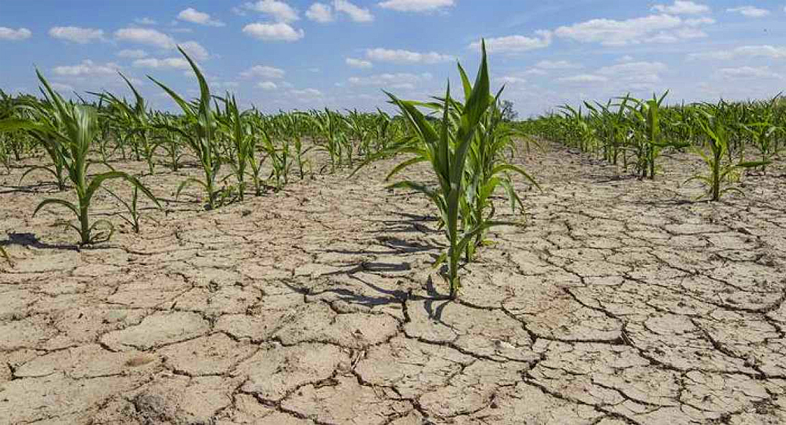 Nuevas ayudas por la sequía y la guerra de Ucrania en Extremadura