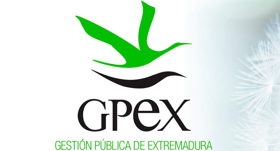 EMPLEO: nueva oferta de trabajo en Extremadura