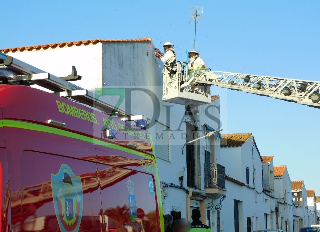 Los bomberos retiran un enorme panal de abejas en Villafranco del Guadiana