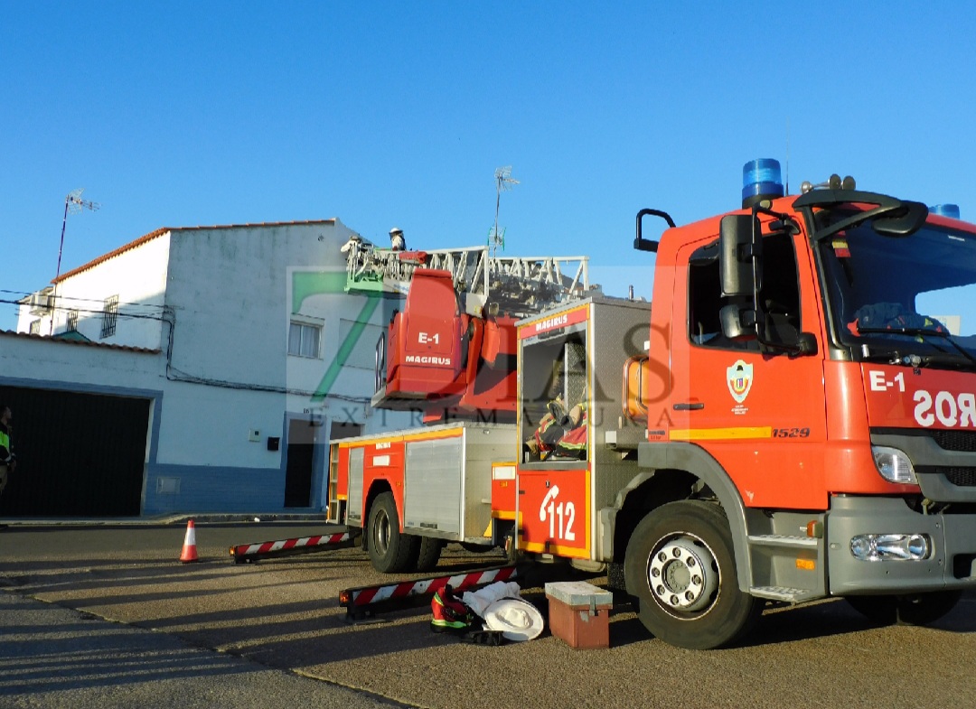 Los bomberos retiran un enorme panal de abejas en Villafranco del Guadiana