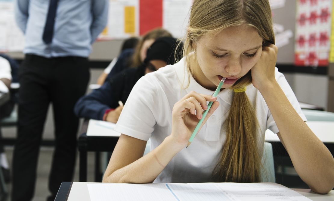 PIDE inicia la campaña para la escolarización en centros de Educación Pública