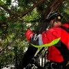 Un vehículo sufre desperfectos al caerse parte de un árbol en Badajoz