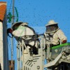 Los bomberos retiran un enorme panal de abejas en Villafranco del Guadiana
