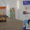 El Hospital Centro Vivo acoge la exposición ‘Los Cuidados Nos Sostienen. Abraza la ecología integral’