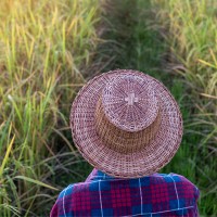 La Unión denuncia la discriminación a los agricultores extremeños frente a los de Cataluña