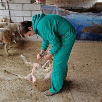 La Junta abona más de 33 M€ de la PAC en Extremadura