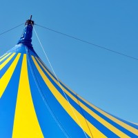 Prohibidos los circos que empleen animales silvestres en cautividad