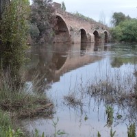 Este es el estado de los arroyos de Los Baldíos tras las precipitaciones de la Borrasca Nelson