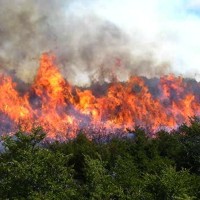 El CPEI organiza la Semana de la Prevención de Incendios