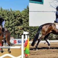 La Universidad de Extremadura en el Campeonato de España de Hípica