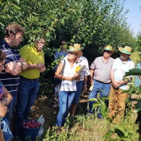 Denuncian que el seguro agrario se ha encarecido un 121% para los productores de tomate