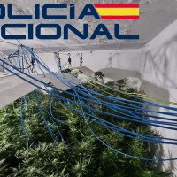 Varias detenciones en la zona de Santa Engracia- Gurugú por tráfico de drogas
