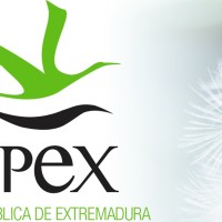 EMPLEO: Nueva oferta de trabajo en Extremadura con este perfil