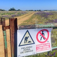 ¿Y con la autovía Cáceres-Badajoz qué ocurre? JUEX hace una petición a la Junta de Extremadura