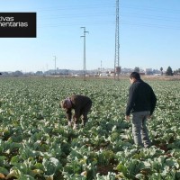 Alertan de la ‘importante’ subida de precios de los seguros agrarios