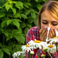 TEMA DEL DÍA: Aumenta el número de pacientes con alergia esta primavera