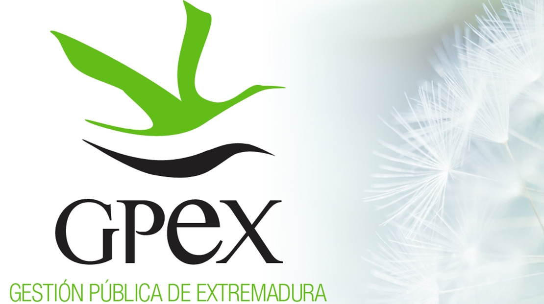 EMPLEO: Nueva oferta de trabajo en Extremadura con este perfil