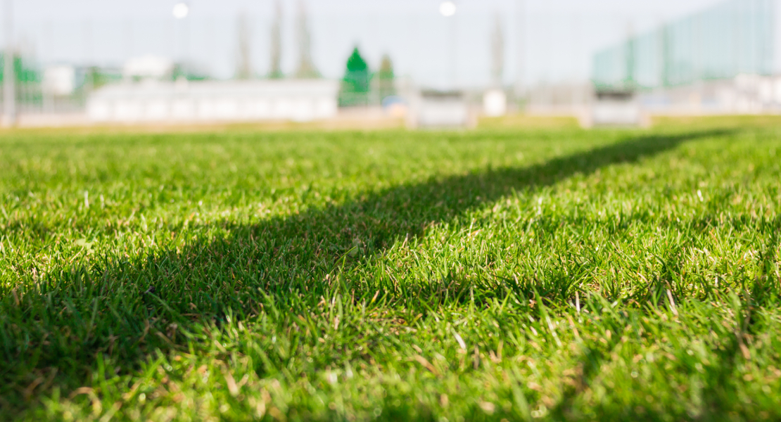 El campo de fútbol de la Picuriña saldrá a licitación la próxima semana