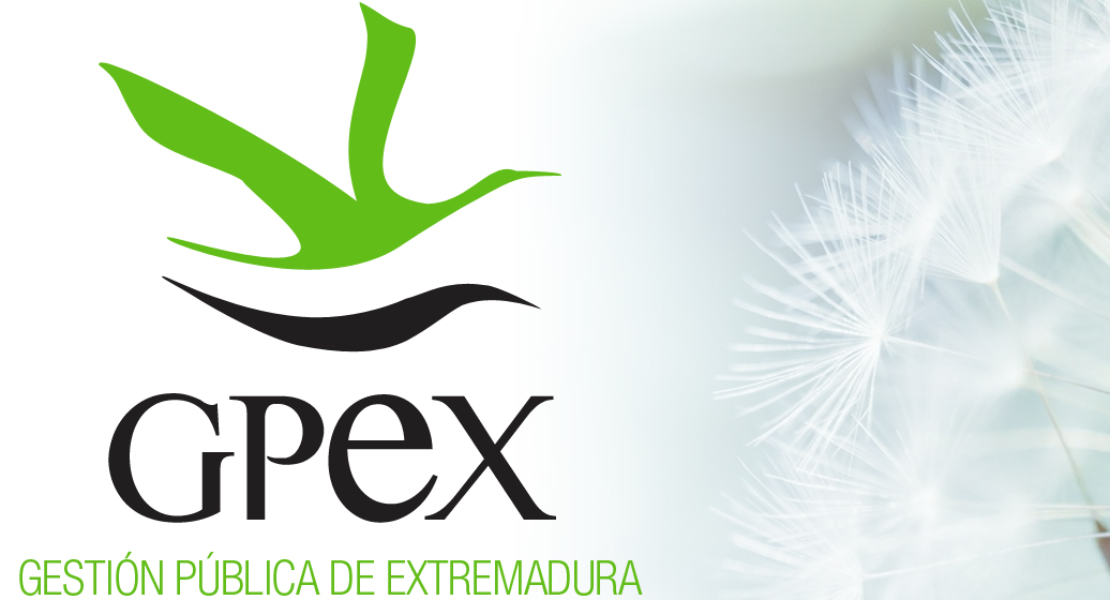 Ofertan dos puestos de trabajo en Extremadura