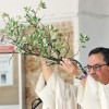 San Vicente de Alcántara celebra el 70º aniversario de su patrona la Virgen de Fátima