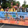 La manifestación por los derechos de los trabajadores toma las calles