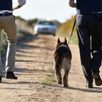 Aumentan los robos en el campo