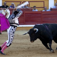 Extremadura dispuesta a asumir el Premio Nacional de Tauromaquia eliminado por el Gobierno