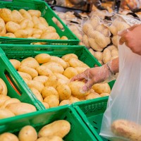 Mercadona prevé comprar 94.000 toneladas de patatas de origen nacional en 2024, un 6% más