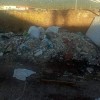 Denuncian que la Charca Musia se ha convertido en "un vertedero incontrolado en una zona comercial"