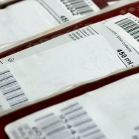 Se necesitan donantes de sangre de estos grupos en Badajoz