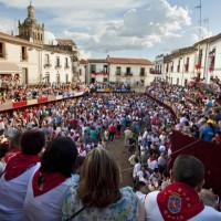 Curso de Cirugía Taurina por los San Juanes de Coria