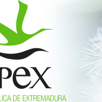 EMPLEO: Ofertan dos puestos de trabajo en Extremadura