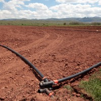 Sobre el Regadío de Tierra de Barros: “Esta decisión demuestra que la Junta nunca creyó en el proyecto”
