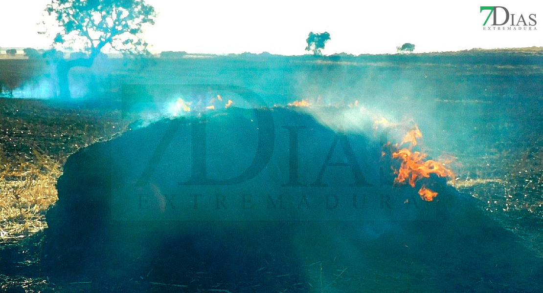 Gran incendio entre Talavera y La Albuera (BA)