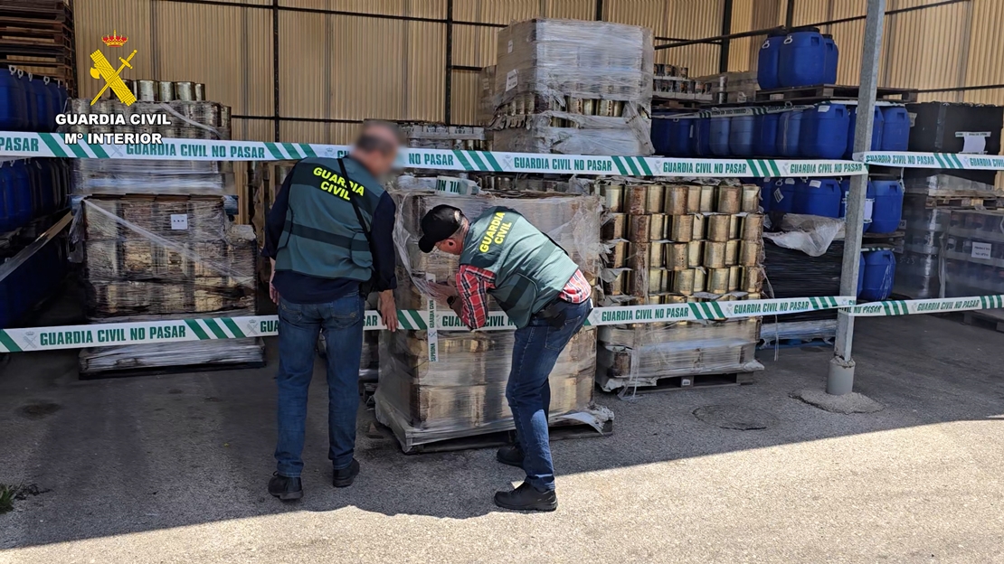Inmovilizan 80 toneladas de aceitunas y encurtidos