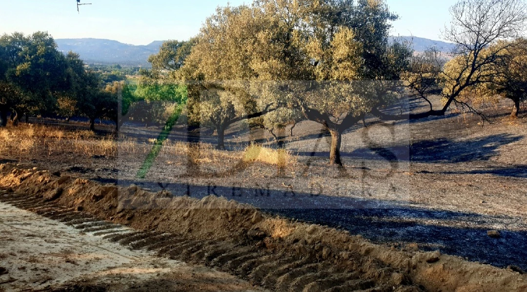 Extinguido el incendio forestal de Burguillos del Cerro