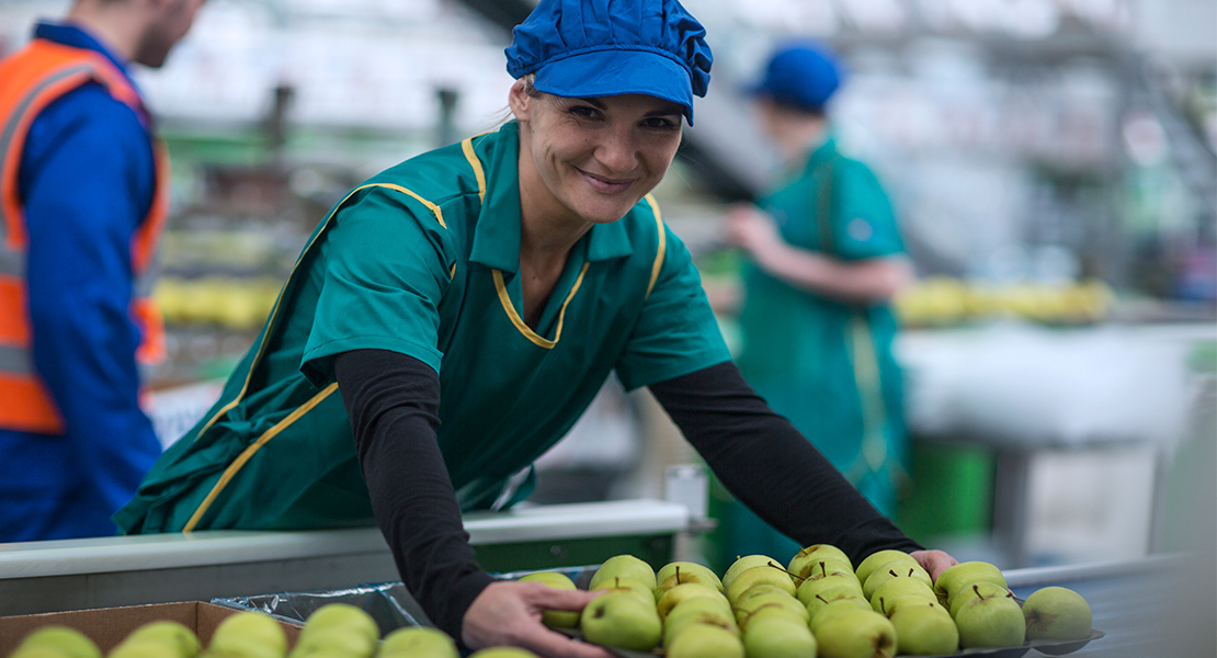 Un nuevo máster en Extremadura para fortalecer el sector agroalimentario